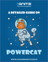 Powercat for Pentester.pdf